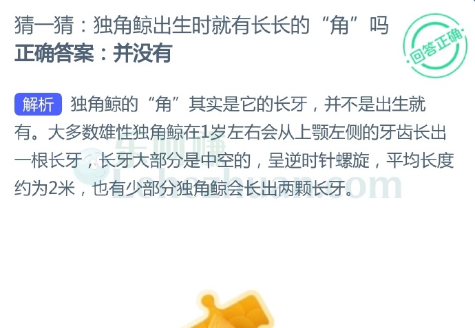 独角鲸出生时就有长长的“角”吗?