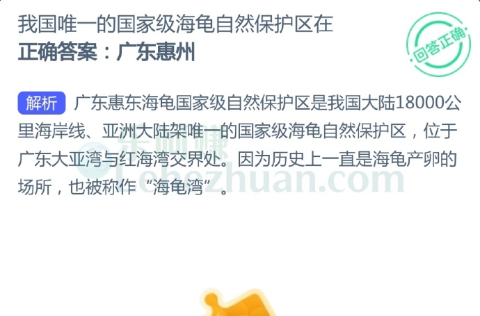 我国唯一的国家级海龟自然保护区在?