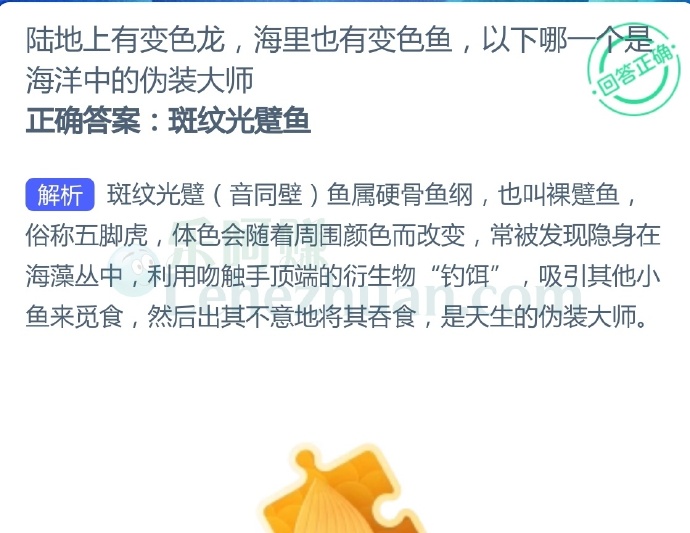 陆地上有变色龙,海里也有变色鱼,以下哪一个是海洋中的伪装大师?