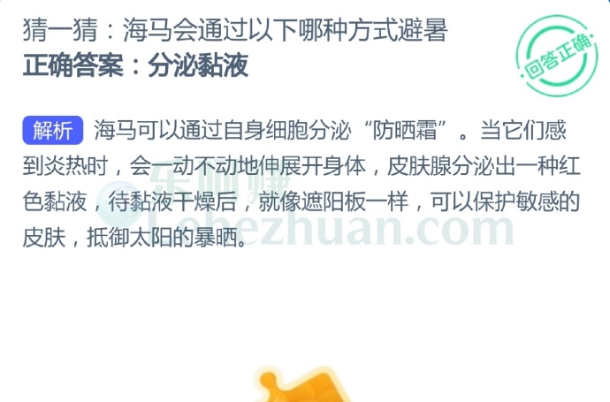 海马会通过以下哪种方式避暑?