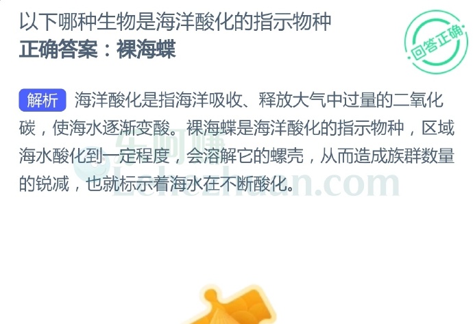 以下哪种生物是海洋酸化的指示物种?