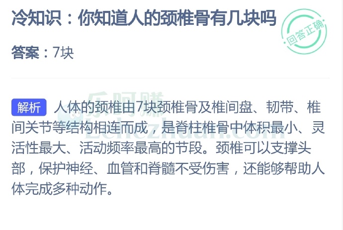 你知道人的颈椎骨有几块吗?
