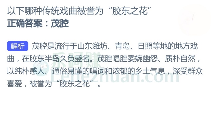 以下哪种传统戏曲被誉为“胶东之花”?