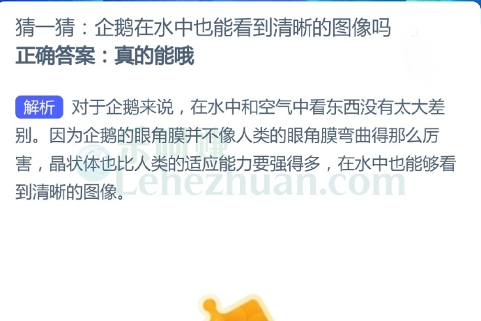 企鹅在水中也能看到清晰的图像吗?