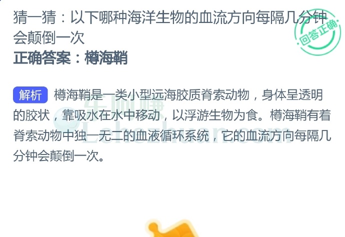 以下哪种海洋生物的血流方向每隔几分钟会颠倒一次?