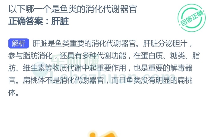 以下哪一个是鱼类的消化代谢器官?