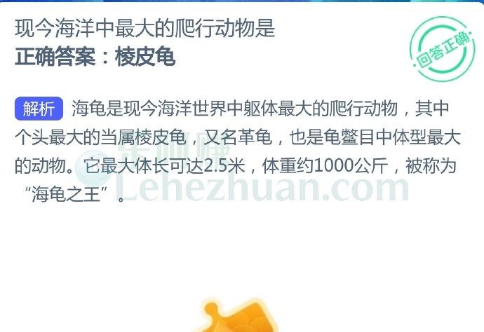 现今海洋中最大的爬行动物是?
