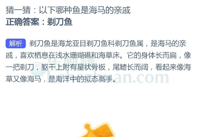 以下哪种鱼是海马的亲戚?