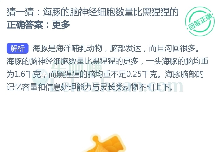 海豚的脑神经细胞数量比黑猩猩的?