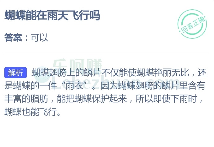 蝴蝶能在雨天飞行吗?