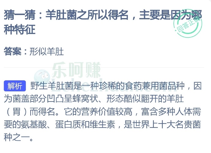 羊肚菌之所以得名主要是因为哪种特征?