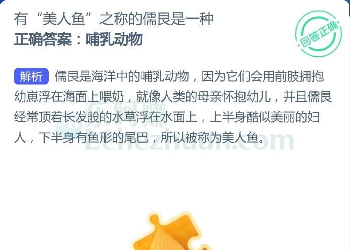 有“美人鱼”之称的儒艮是一种?