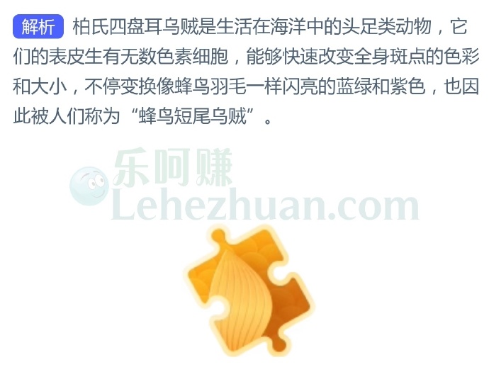 “蜂鸟短尾乌贼”因为哪种特点而得名?