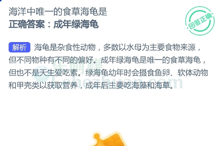 海洋中唯一的食草海龟是?