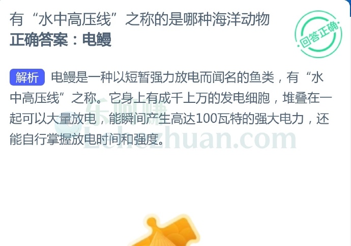 有“水中高压线”之称的是哪种海洋动物?