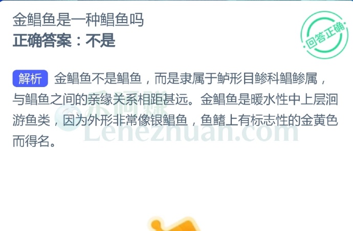 金鲳鱼是一种鲳鱼吗?