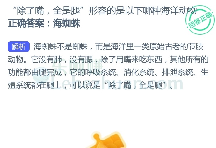 除了嘴全是腿形容的是以下哪种海洋动物?