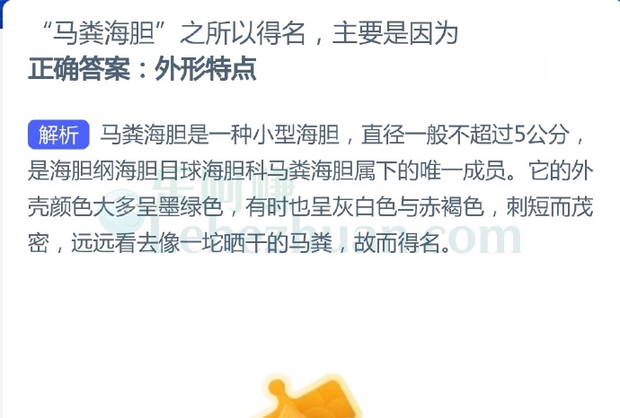 “马粪海胆'之所以得名主要是因为?