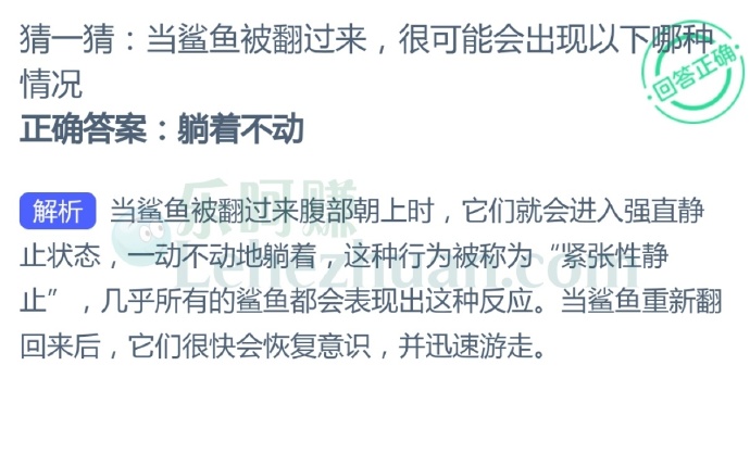 当鲨鱼被翻过来,很可能会出现以下哪种情况?