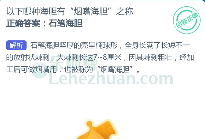 以下哪种海胆有“烟嘴海胆”之称?
