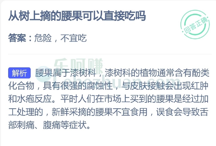 从树上摘的腰果可以直接吃吗?