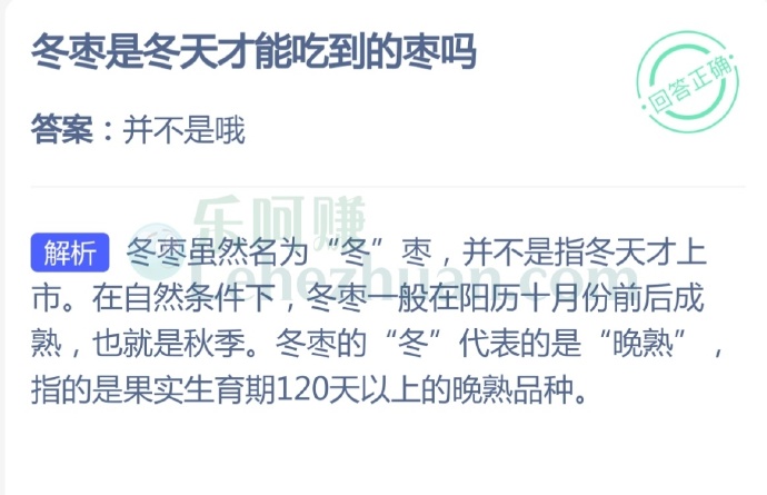 冬枣是冬天才能吃到的枣吗?