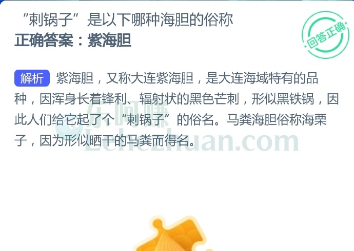 “剌锅子”是以下哪种海胆的俗称?