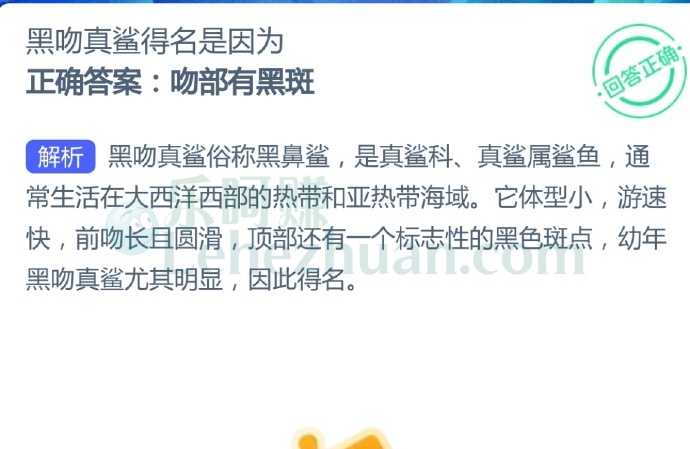 黑吻真鲨得名是因为?