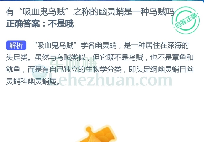 有“吸血鬼乌贼”之称的幽灵蛸是一种乌贼吗?