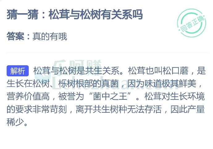 松茸与松树有关系吗?