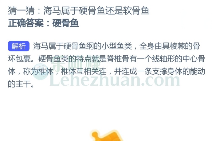 海马属于硬骨鱼还是软骨鱼?