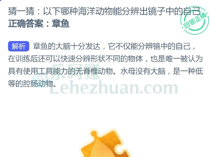 以下哪种海洋动物能分辨出镜子中的自己?