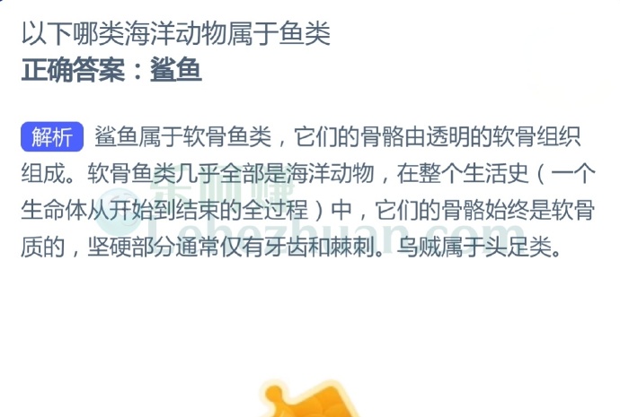 以下哪类海洋动物属于鱼类?