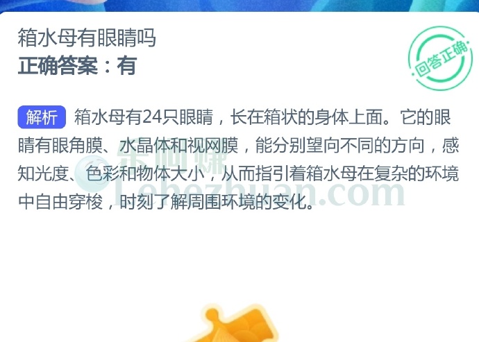 箱水母有眼睛吗?