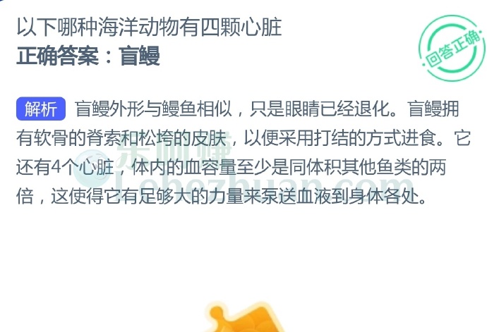以下哪种海洋动物有四颗心脏?