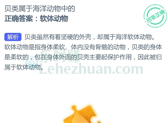 贝类属于海洋动物中的?