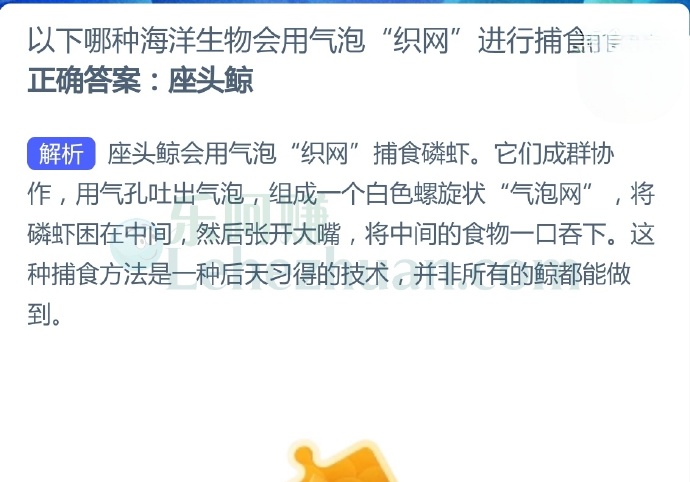 以下哪种海洋生物会用气泡“织网”进行捕食?