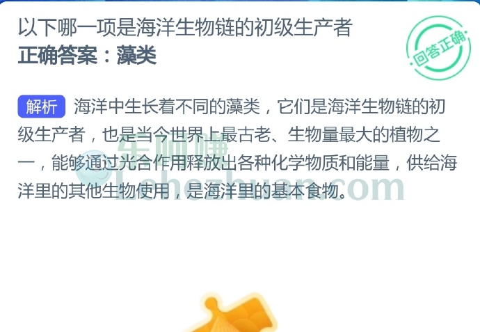 以下哪一项是海洋生物链的初级生产者?