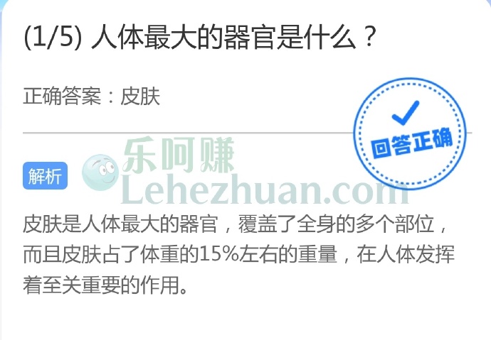 人体最大的器官是什么?