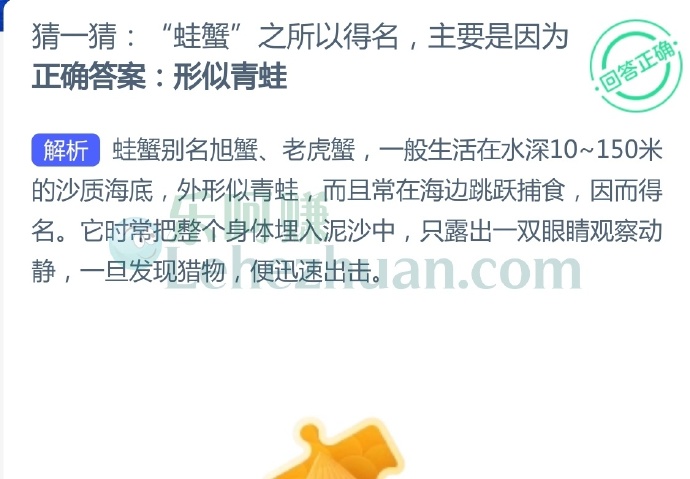 “蛙蟹”之所以得名,主要是因为?