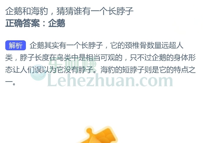 企鹅和海豹,猜猜谁有一个长脖子?