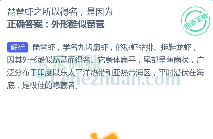 琵琶虾之所以得名,是因为?