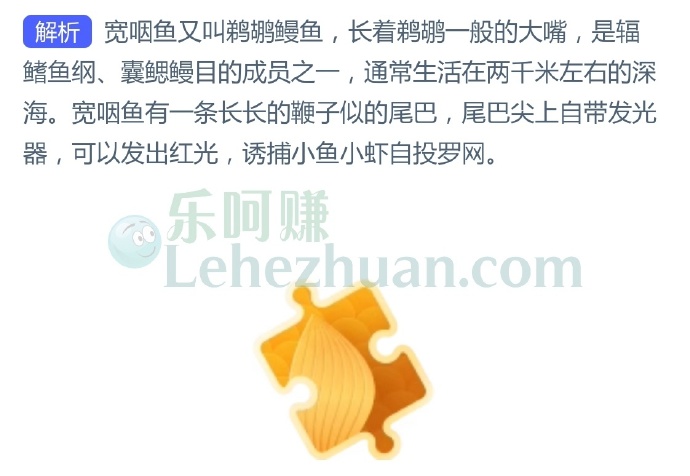 深海的宽咽鱼靠身体哪个部位发光诱捕猎物?
