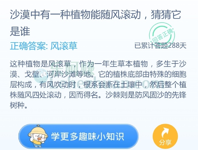沙漠中有一种植物能随风滚动,猜猜它是谁?