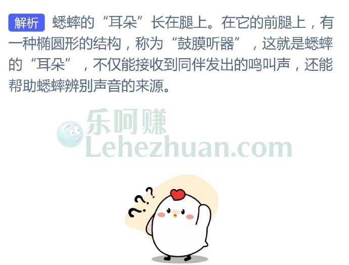蟋蟀的“耳朵”长在哪里?