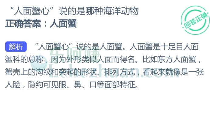“人面蟹心”说的是哪种海洋动物?