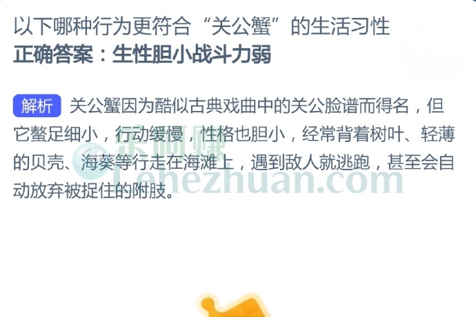 以下哪种行为更符合“关公蟹”的生活习性?