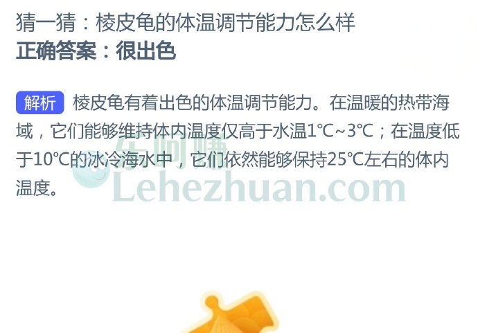 棱皮龟的体温调节能力怎么样?