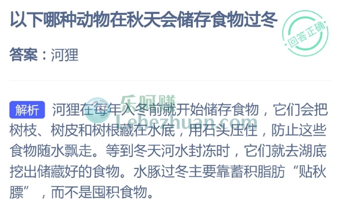 以下哪种动物在秋天会储存食物过冬?