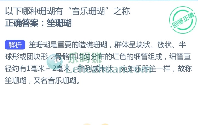以下哪种珊瑚有“音乐珊瑚”之称?